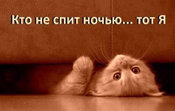 Кто спит