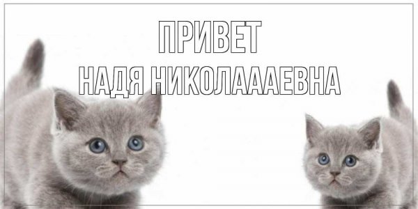Привет Надя