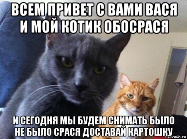 Привет я Вася