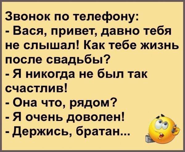 Кот Вася Мем