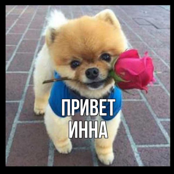 Привет Инна