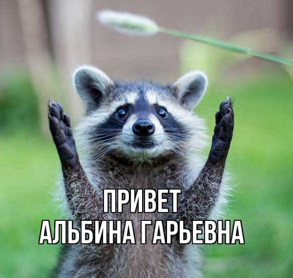 Привет Альбина