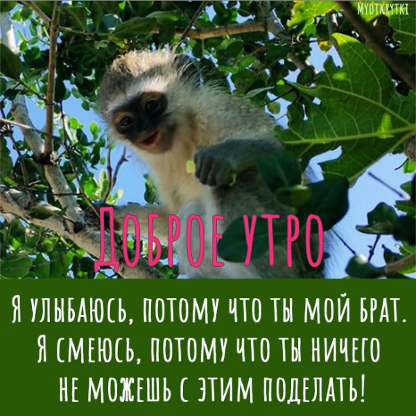 Кружка братику от сестры варианты