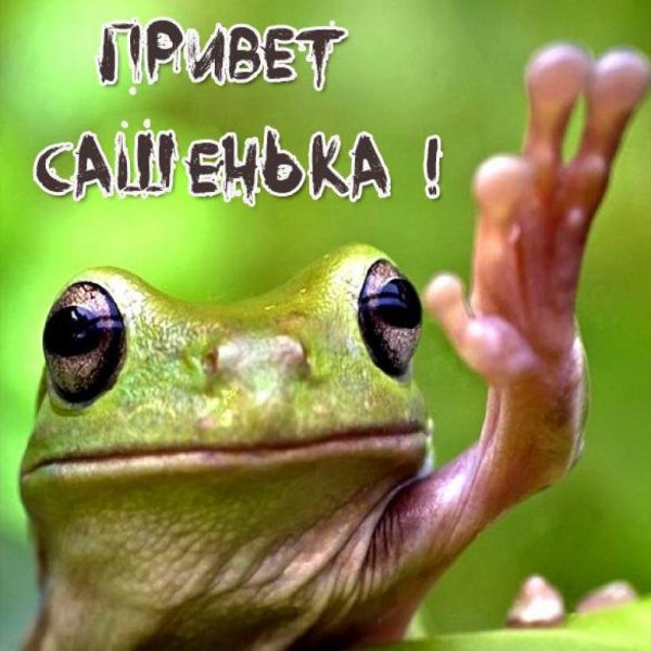 Привет картинки