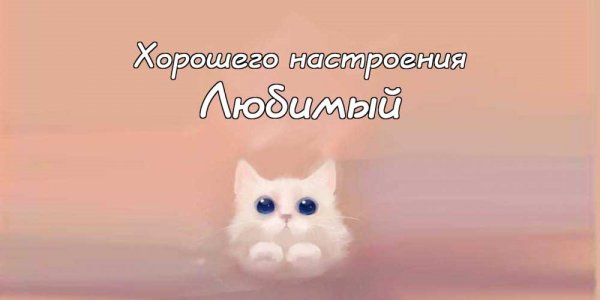 Саша как дела