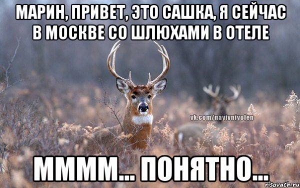 Саша как дела