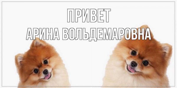 Я Арина