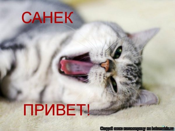 Привет санёк