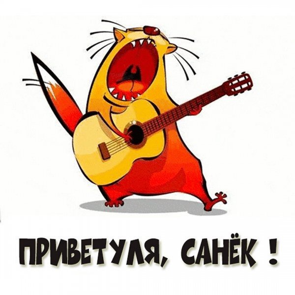 Саня привет прикол