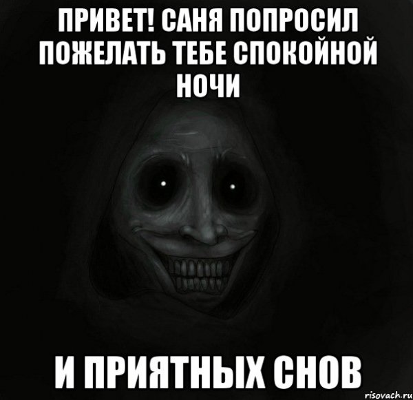 Саня осел