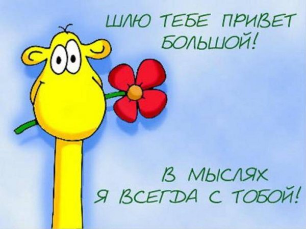 Открытки привет любимый