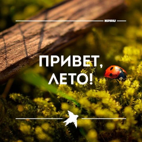 Привет лето июнь