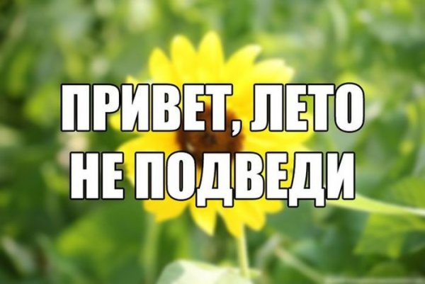 Привет лето