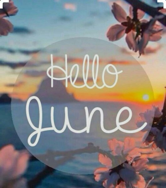 Обои hello Summer