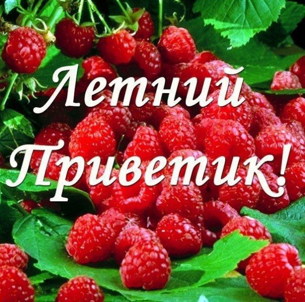 Привет лето картинки