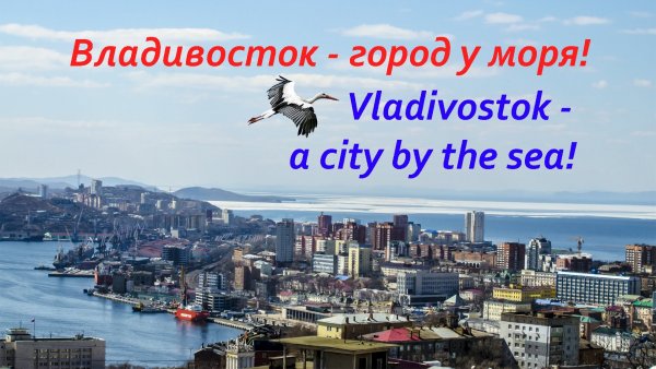 Стелла Владивосток