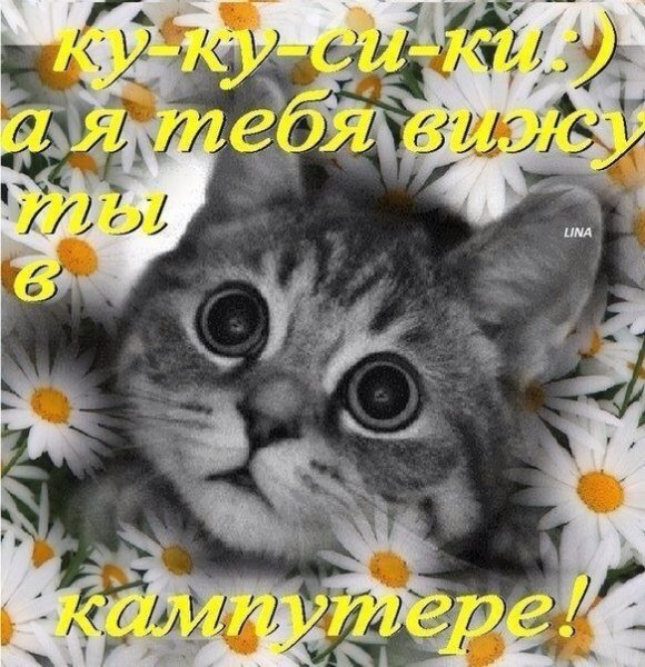 Ку ку доброе утро