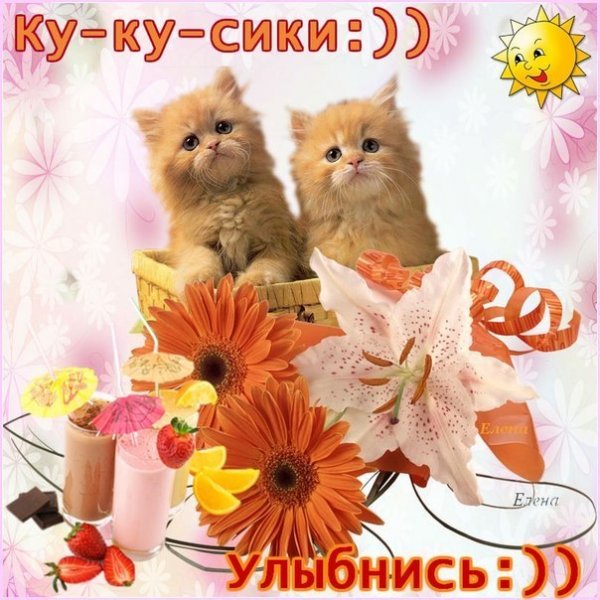 Открытки ку ку