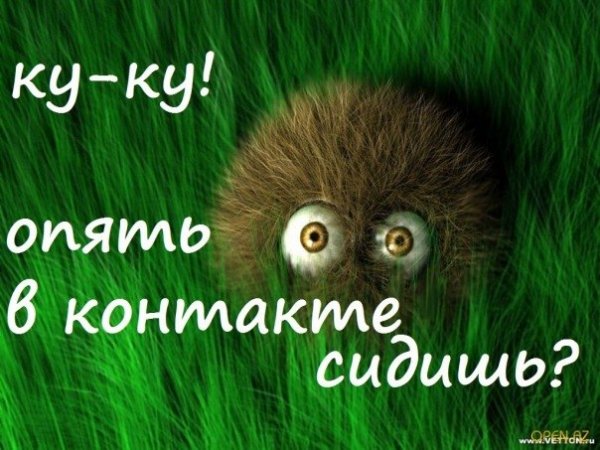 Открытка Куку