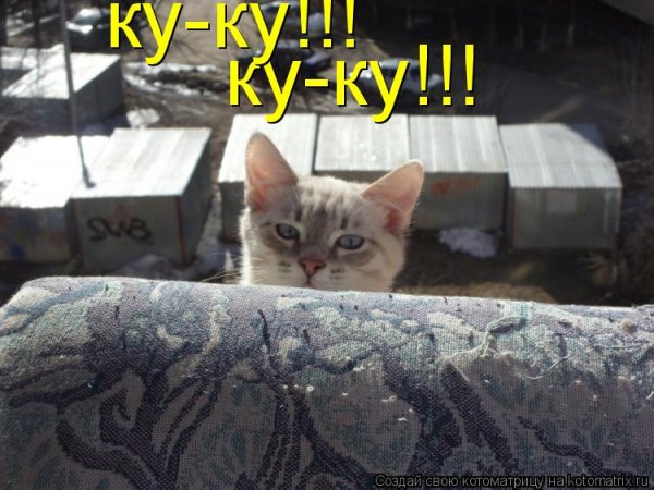 Ку ку прикол