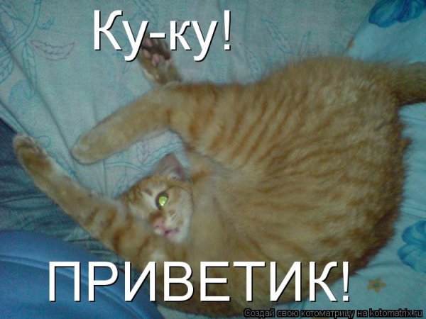 Ку-ку картинки