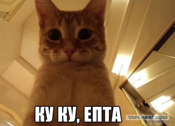 Картинка Куку ёпта