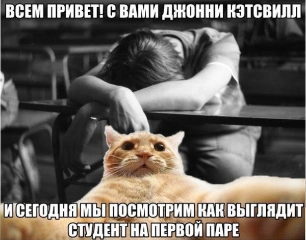 Привет первокурсник