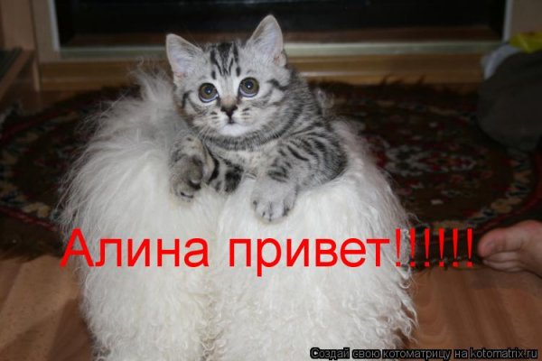 Привет Алина Мем