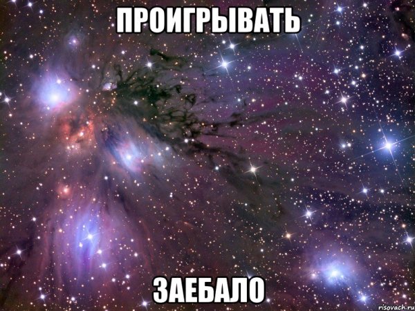 Саня пес
