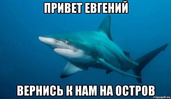 Привет Женька