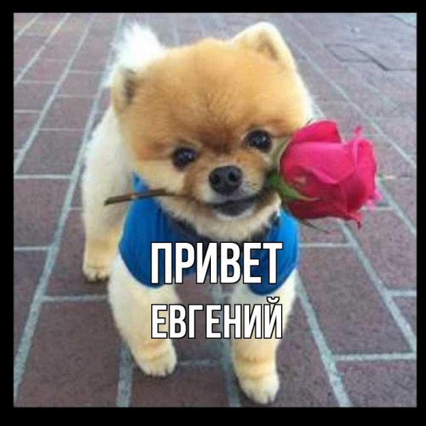 Любимому сыночку с днем рождения