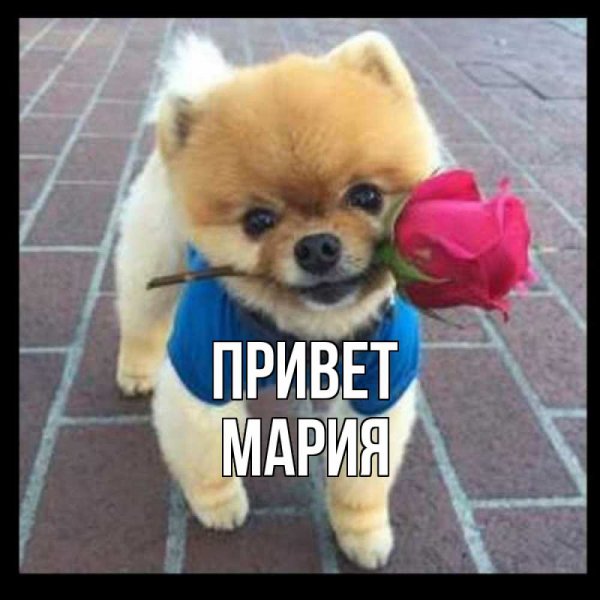 Иришка удачного дня
