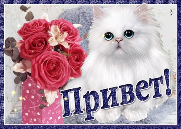 Большой привет от меня