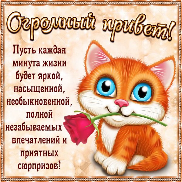Красивые Веселые открытки
