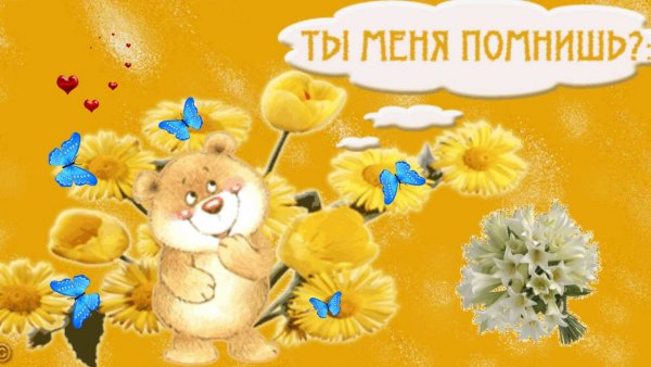 Добрый день одноклассницы
