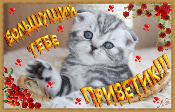 Открытки привет прикольные