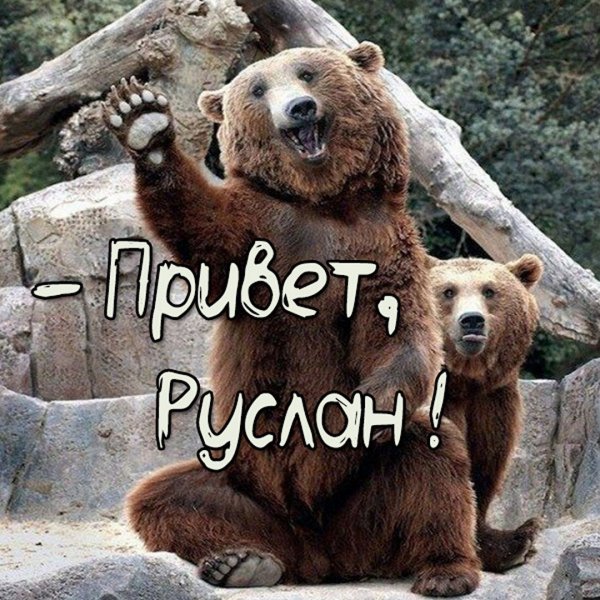 Я твой машина шатал