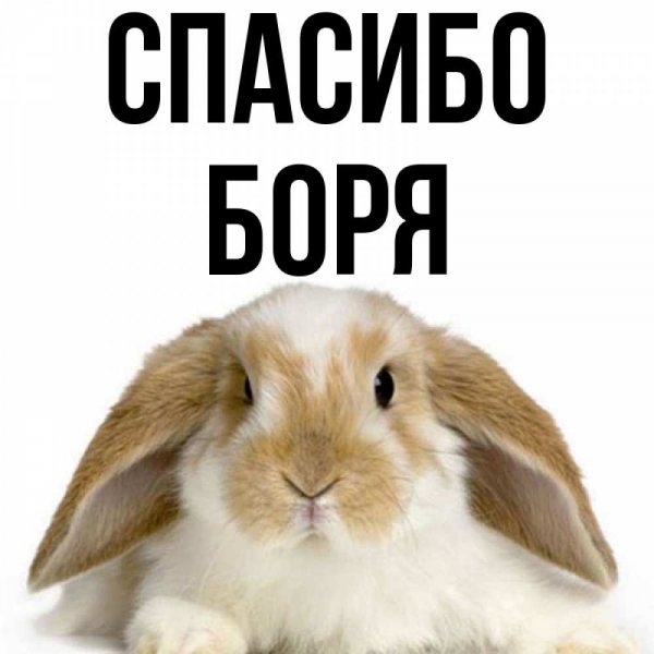 Боря с днем рождения