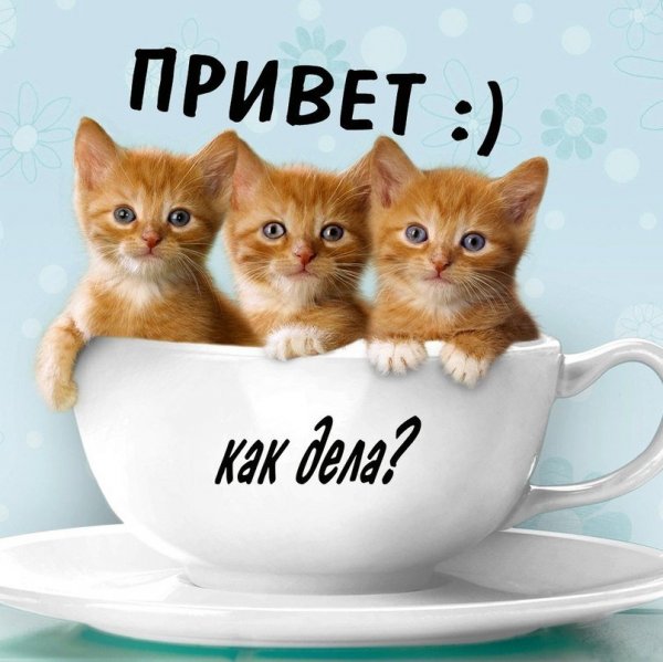 Открытки привет прикольные