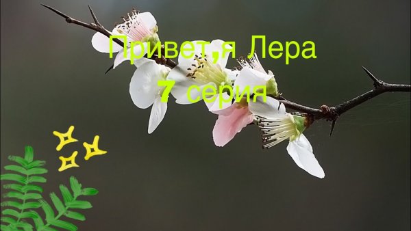 Настя беги