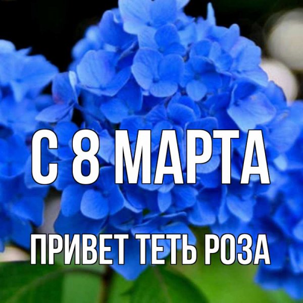 Приветик от всего сердца