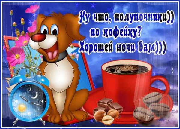 Доброе утро Полуночник