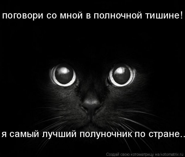 Полуночники картинки