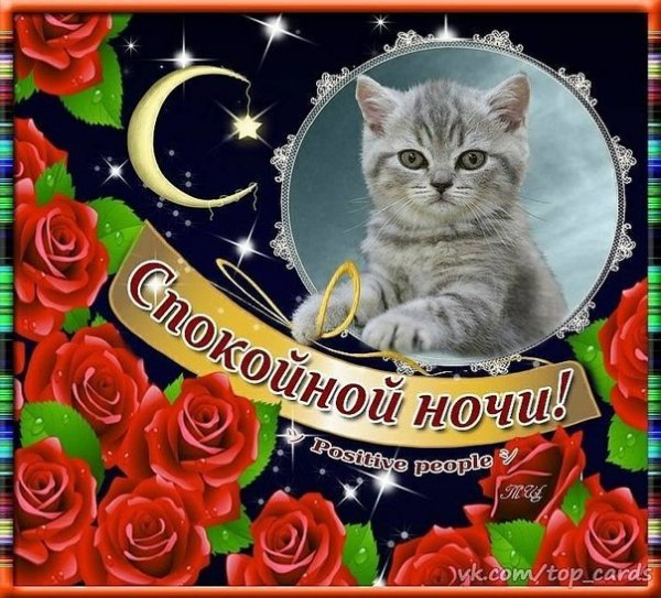 Открытка Полуночники