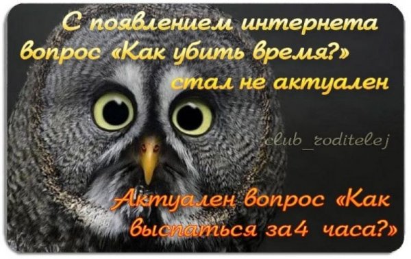 Открытка чего не спится