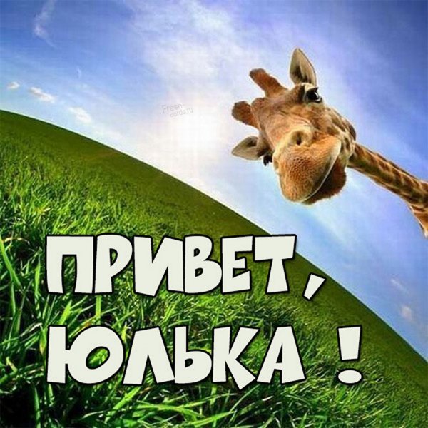 Юлька привет картинки прикольные