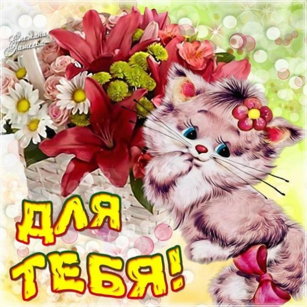 Красивые прикольные открытки