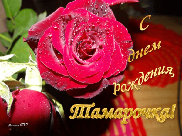 Спасибо Татьяна