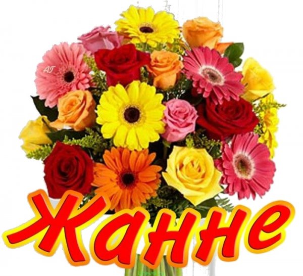 Привет Эльза