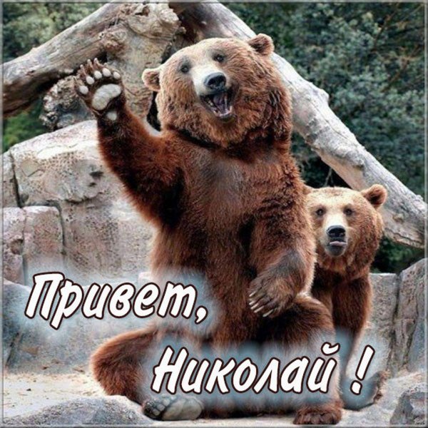 Мемы про Николая